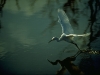1283_web